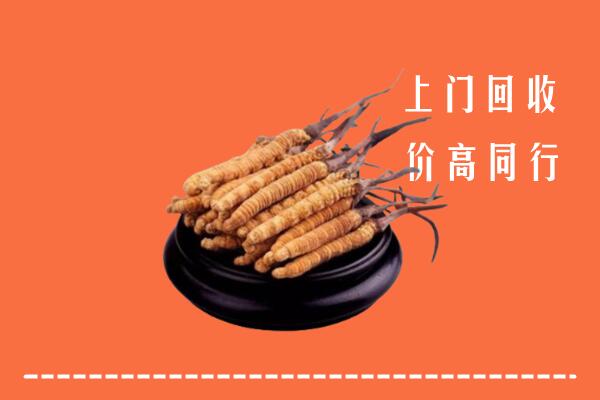 收购行情：台湾屏东县回收散虫草