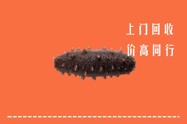 高价求购：台湾屏东县回收海参