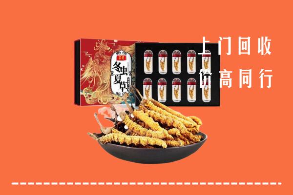 高价求购：台湾屏东县回收虫草